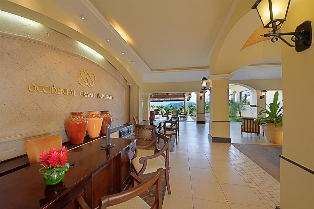 Occidental Papagayo (Adults Only) Hotell Culebra Eksteriør bilde